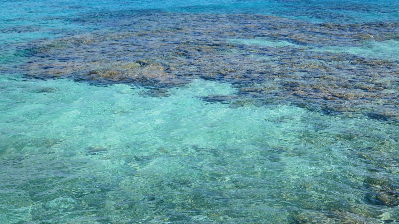 Sydney, Uluru & The Reef